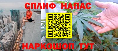 крисы Беслан