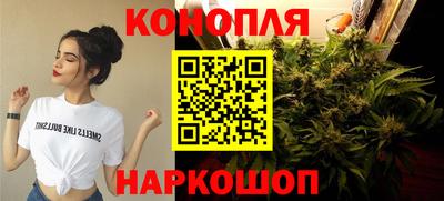 твердый Будённовск