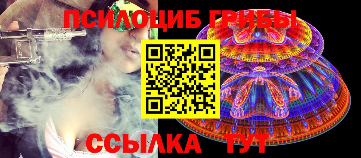 Галлюциногенные грибы прущие грибы Калуга