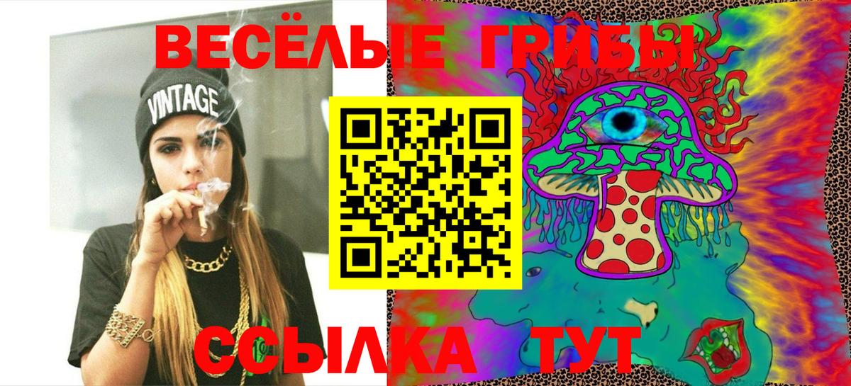Галлюциногенные грибы MAGIC MUSHROOMS  Вход с VPN  Калуга 